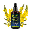 Load image into Gallery viewer, VitaOx Mullein Drops – Organic 3-in-1 Herbal Lung & Respiratory Support | Alcohol-Free | 4 fl oz