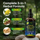 Load image into Gallery viewer, VitaOx Mullein Drops – Organic 3-in-1 Herbal Lung &amp; Respiratory Support | Alcohol-Free | 4 fl oz