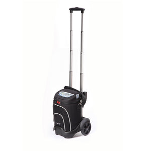 GCE Zen-O Cart - Main Clinic Supply